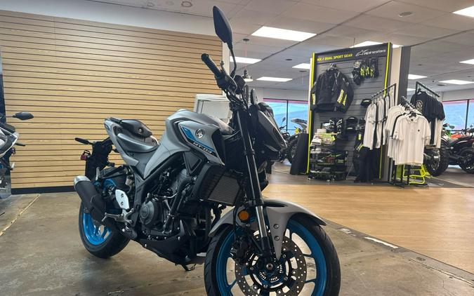 2025 Yamaha MT 03