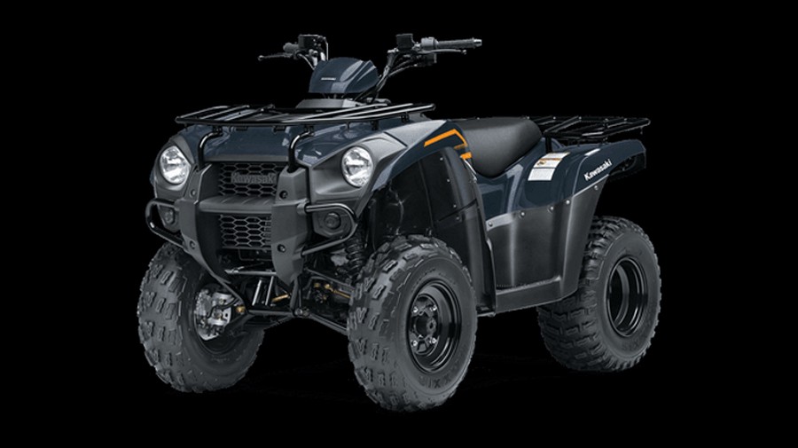 2024 KAWASAKI Brute Force 300