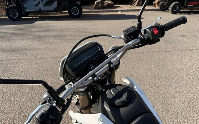 2026 Kawasaki KLX 300