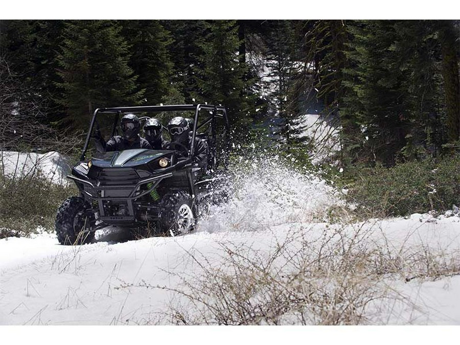 2015 Kawasaki Teryx4™