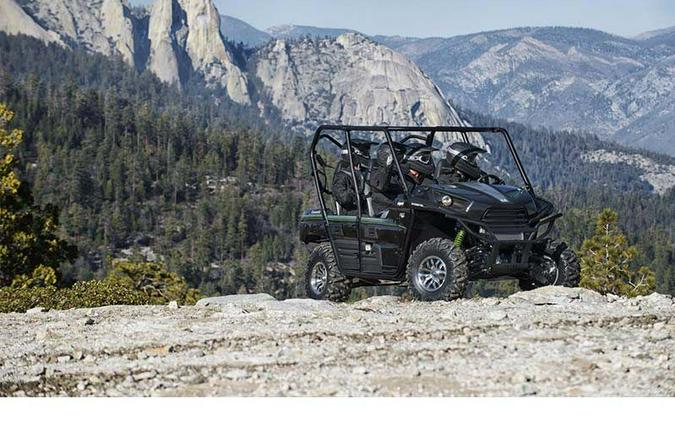 2015 Kawasaki Teryx4™