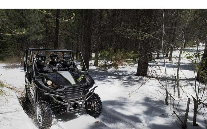 2015 Kawasaki Teryx4™