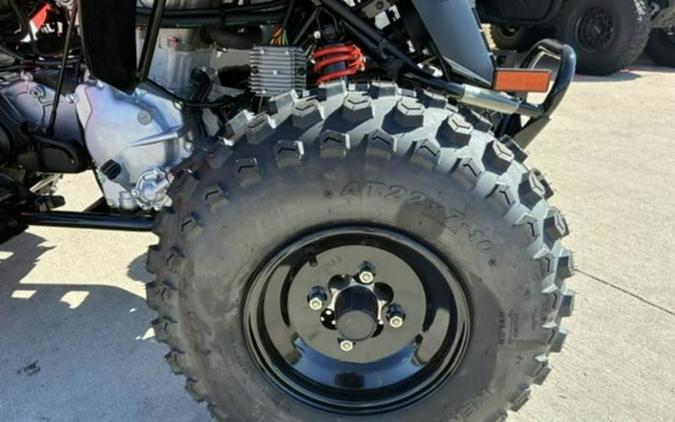 2027 Can-Am DS 250