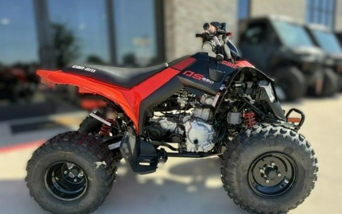 2027 Can-Am DS 250
