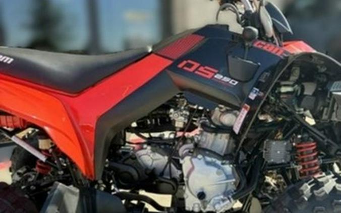 2027 Can-Am DS 250