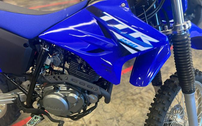 2025 Yamaha TT-R 230