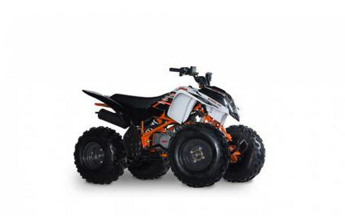 2022 Kayo Storm 150 On Sale! $1,200 Savings!