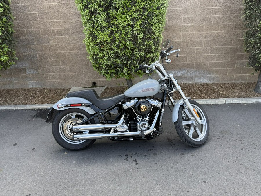 FXST 2024 Softail™ Standard