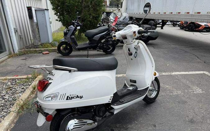 2026 WOLF BRAND SCOOTERS LUCKY