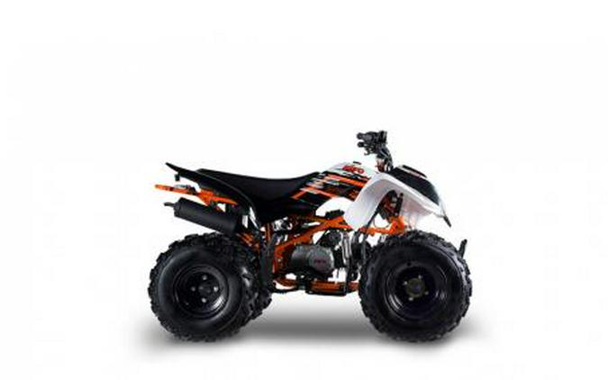 2022 Kayo Storm 150 On Sale! $1,200 Savings!