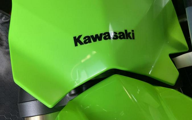 2025 Kawasaki KLX®300R