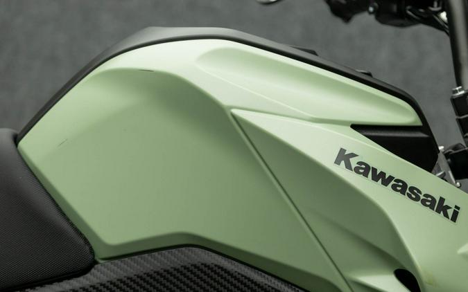 2023 KAWASAKI BR125 Z125 PRO