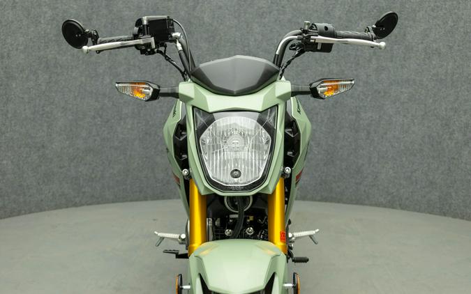 2023 KAWASAKI BR125 Z125 PRO