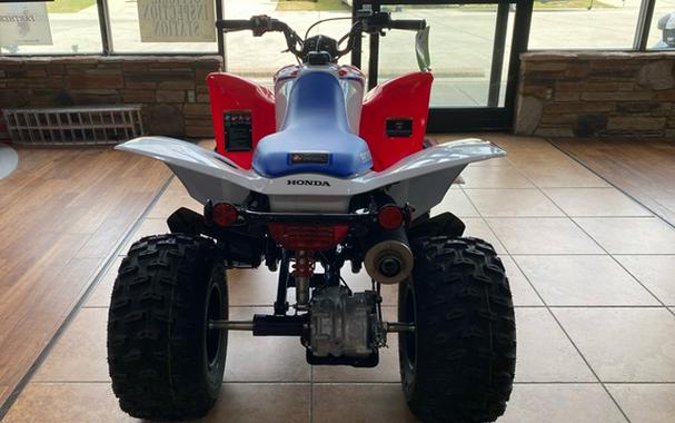 2026 Honda TRX 250X