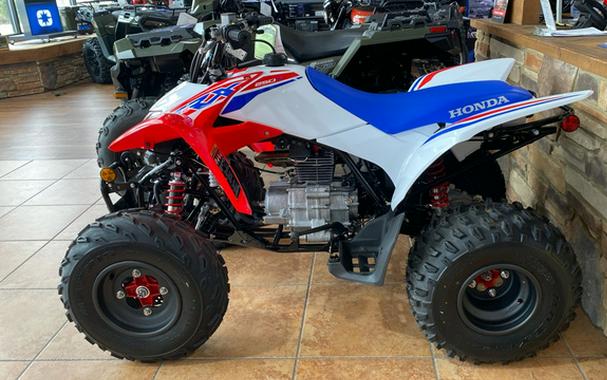 2026 Honda TRX 250X