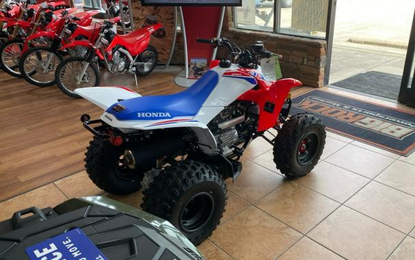 2026 Honda TRX 250X