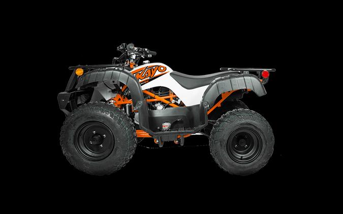 New 2024 KAYO STORM 150