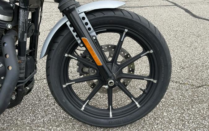 2020 Harley-Davidson Sportster Iron 883 - Color