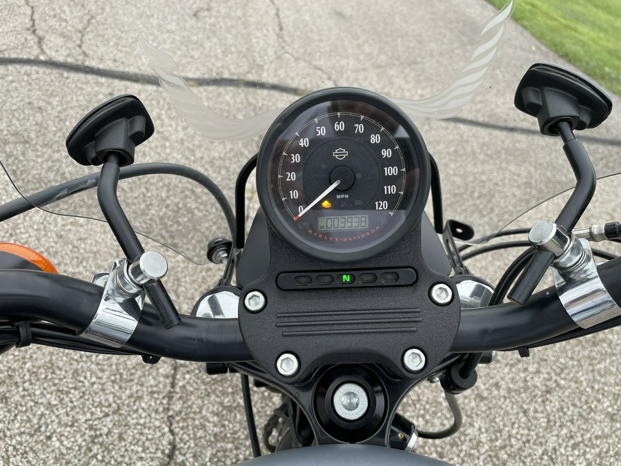 2020 Harley-Davidson Sportster Iron 883 - Color