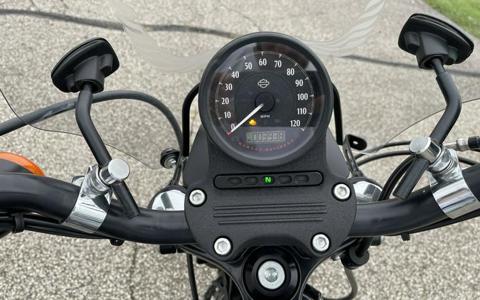 2020 Harley-Davidson Sportster Iron 883 - Color