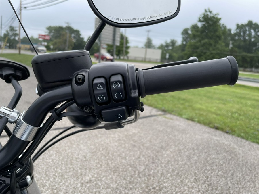 2020 Harley-Davidson Sportster Iron 883 - Color