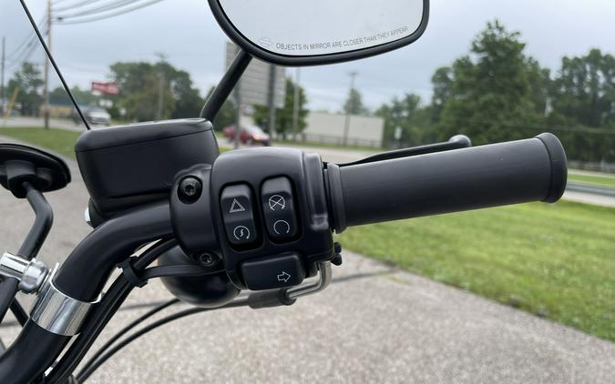 2020 Harley-Davidson Sportster Iron 883 - Color