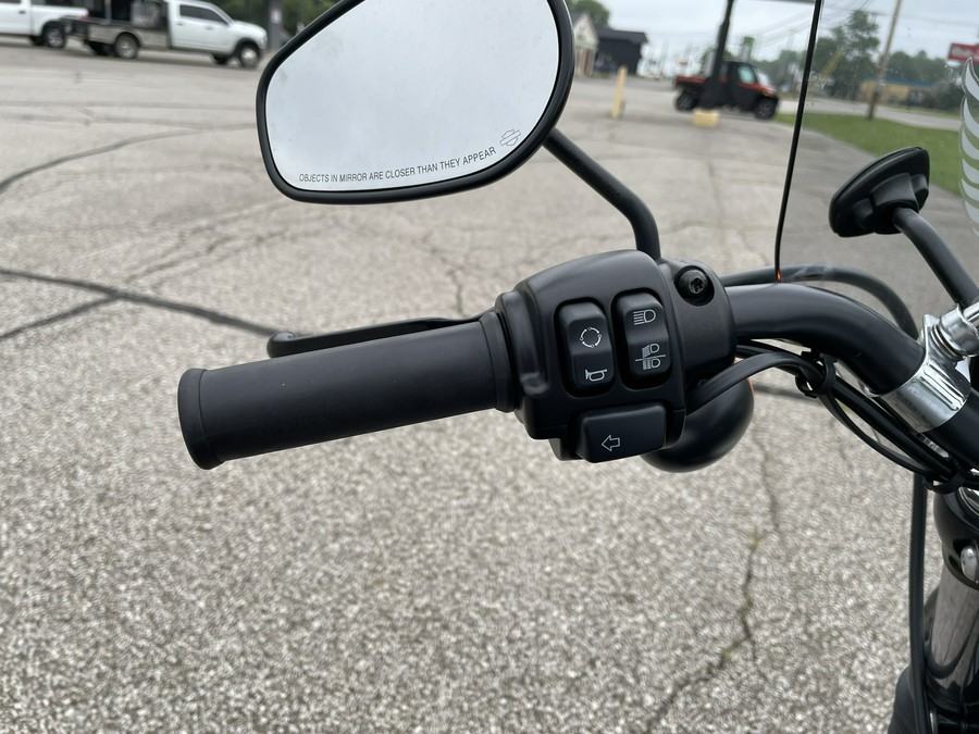 2020 Harley-Davidson Sportster Iron 883 - Color