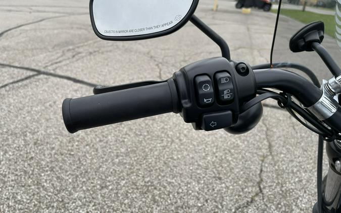 2020 Harley-Davidson Sportster Iron 883 - Color
