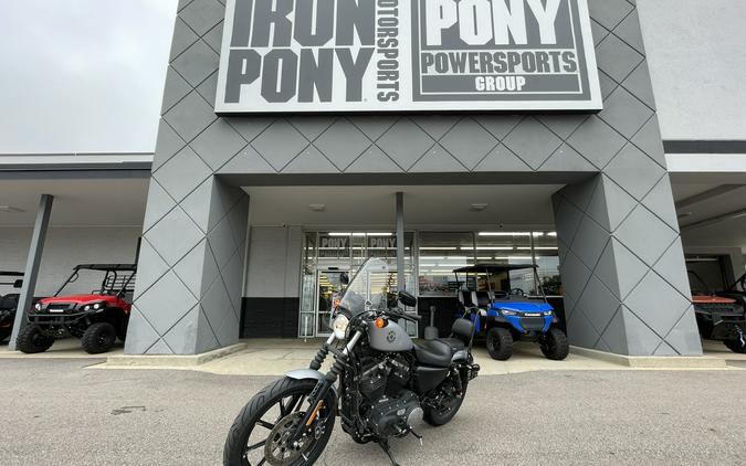 2020 Harley-Davidson Sportster Iron 883 - Color