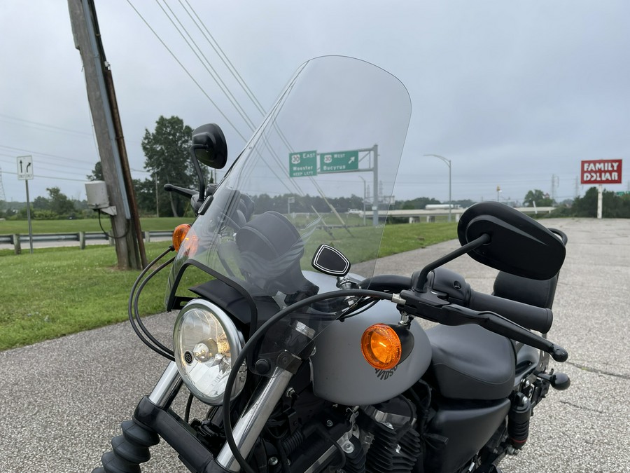 2020 Harley-Davidson Sportster Iron 883 - Color