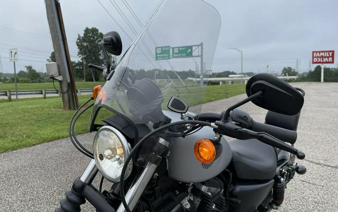 2020 Harley-Davidson Sportster Iron 883 - Color
