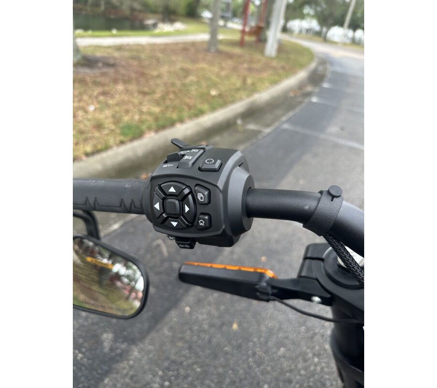 2025 LiveWire Alpinista