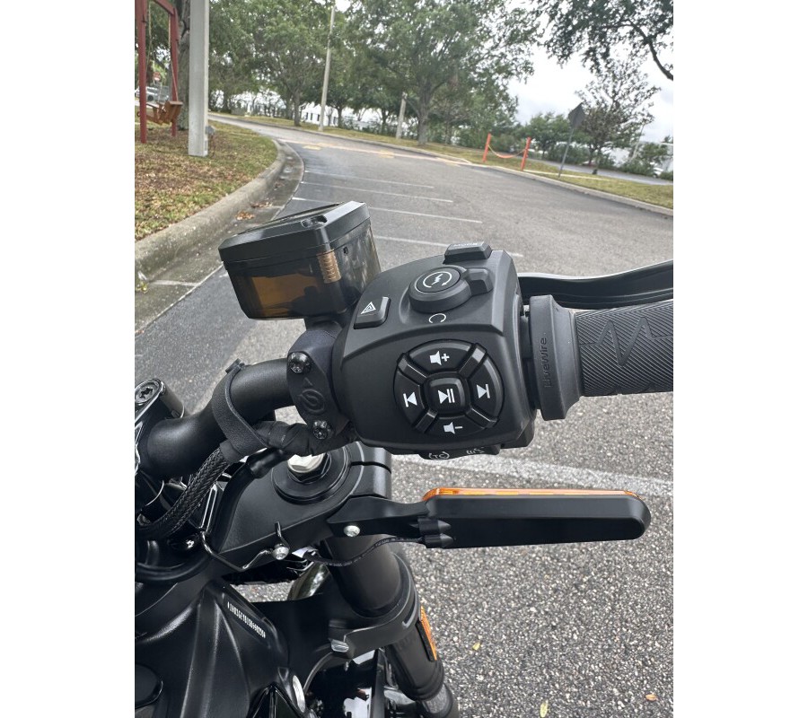 2025 LiveWire Alpinista