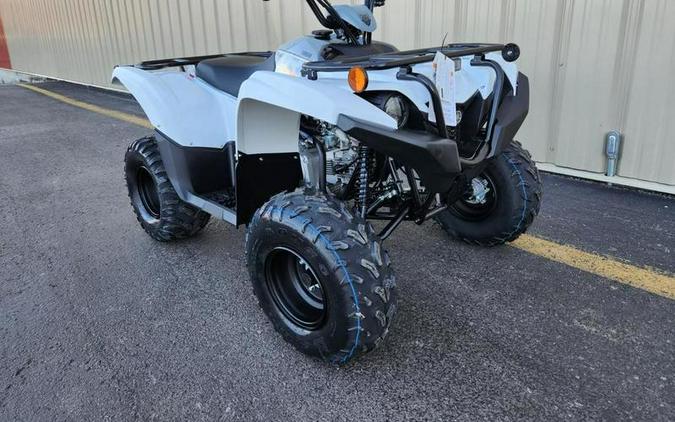 2024 Yamaha Grizzly 90