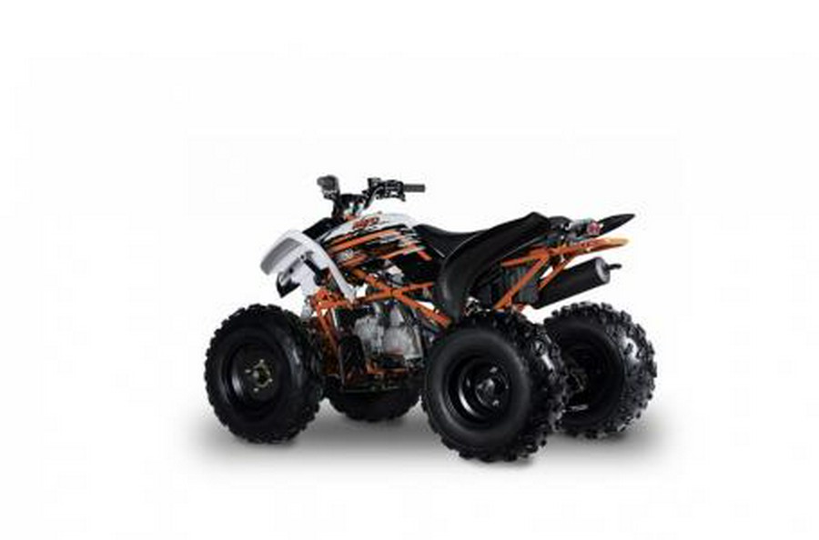 2022 Kayo Storm 150 On Sale! $1,200 Savings!