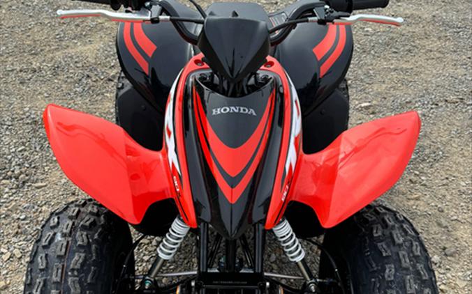 2024 Honda TRX90X