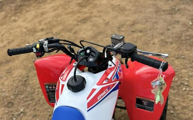 2026 Honda® TRX250X