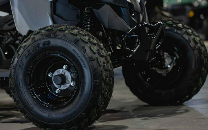 2027 Can-Am Renegade 110 EFI