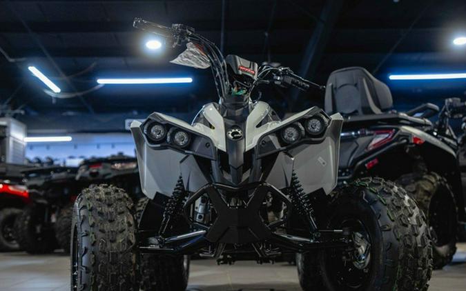 2027 Can-Am Renegade 110 EFI