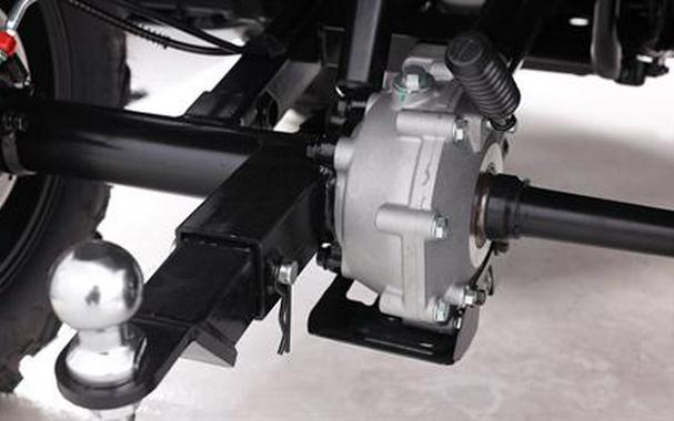 2026 Denago Powersports Freelander 300FI