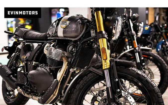 2025 Royal Enfield INT BEAR 650