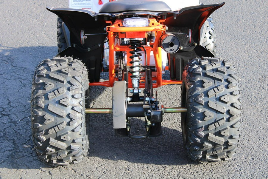 2022 Kayo 125 Predator