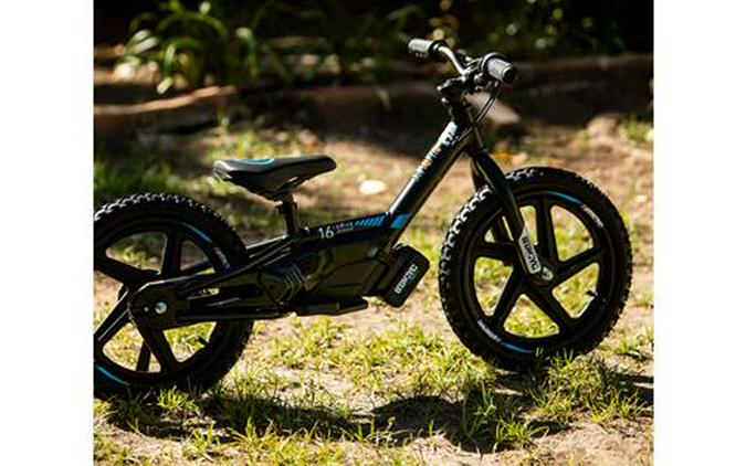 2025 Stacyc 16eDRIVE Brushless