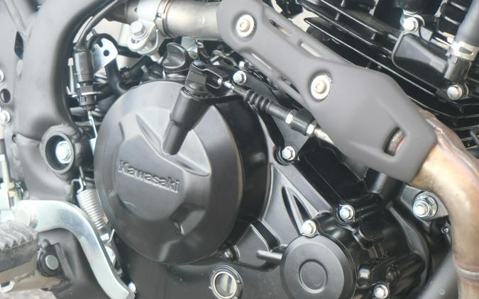 2025 KAWASAKI KLX230SM ABS