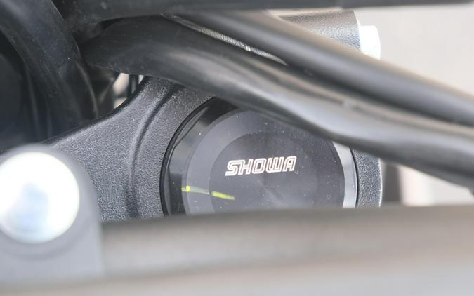 2025 KAWASAKI KLX230SM ABS