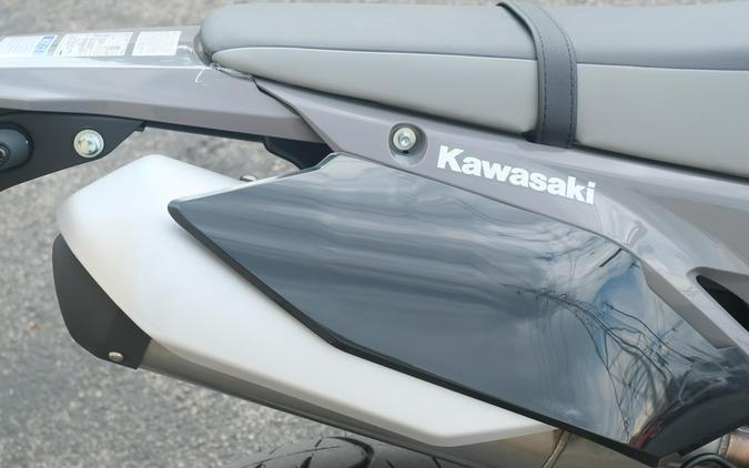 2025 KAWASAKI KLX230SM ABS
