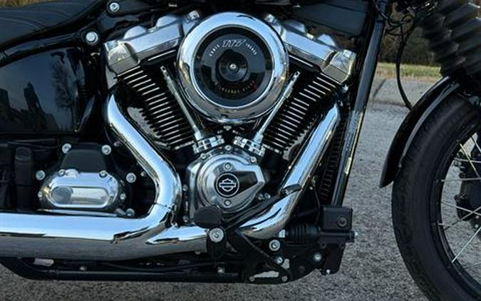 2025 Harley-Davidson Street Bob®