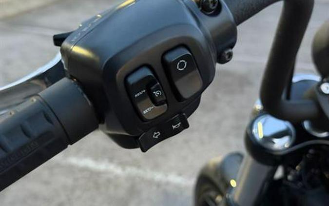 2025 Harley-Davidson Street Bob®