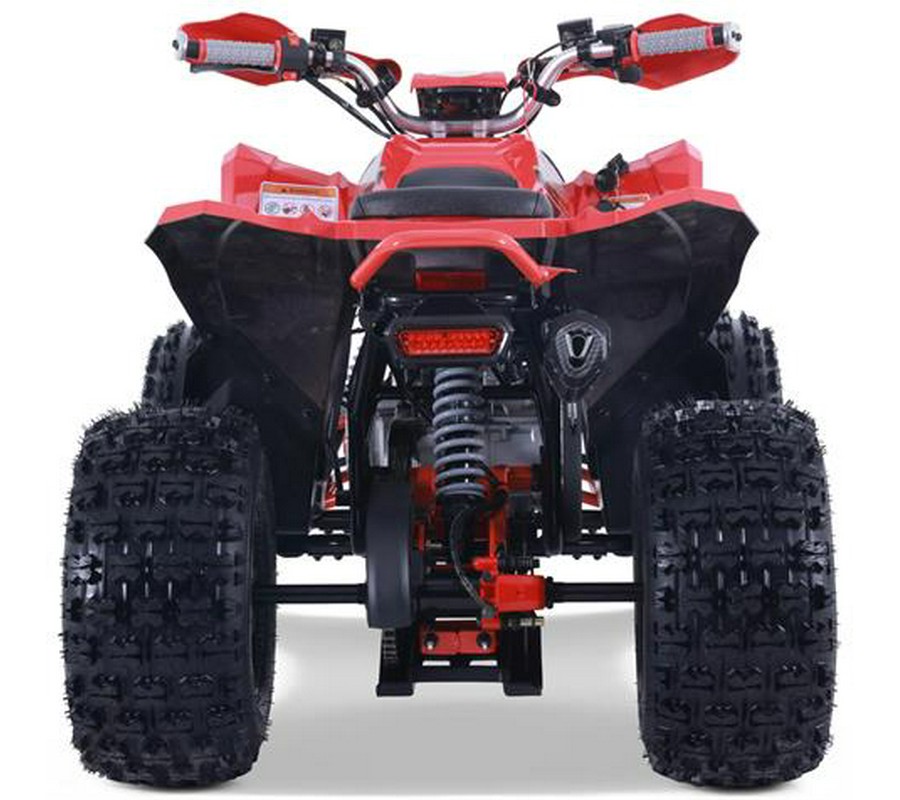 2026 Denago Powersports Trailhawk 10FI