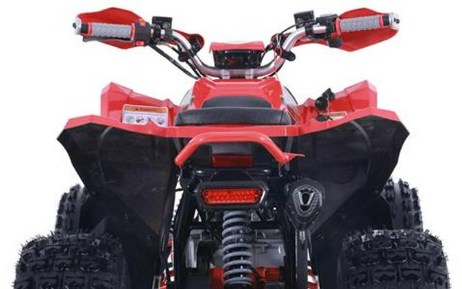 2026 Denago Powersports Trailhawk 10FI